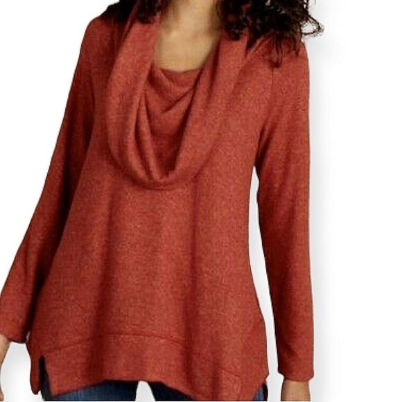 Soft Surroundings Ava Cowl Neck Tunic In Rust - Picture 1 of 6